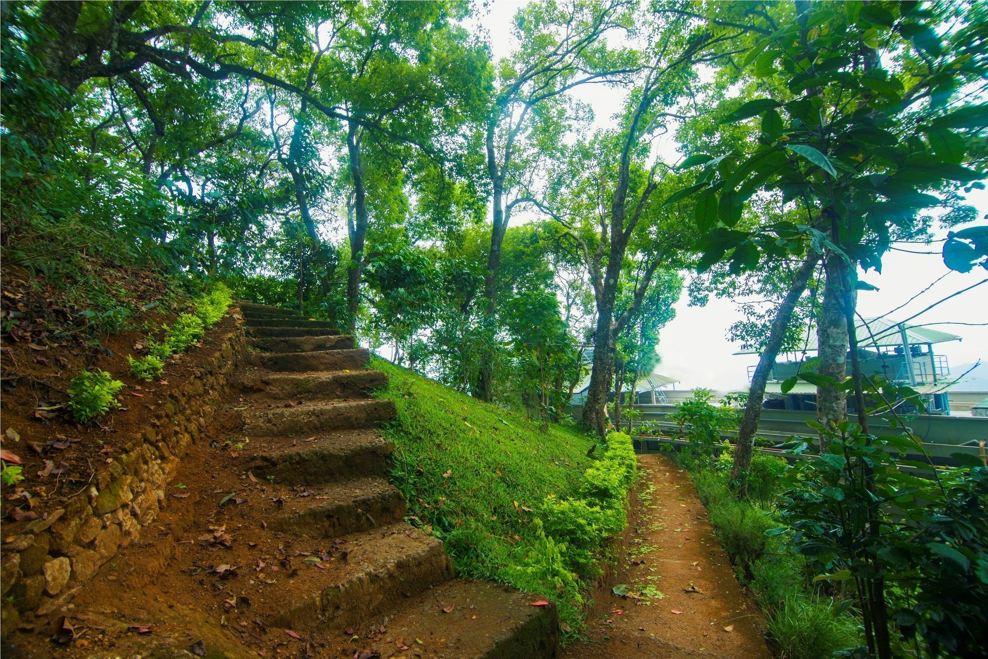 Forest Glade Resorts Chithirapuram Extérieur photo