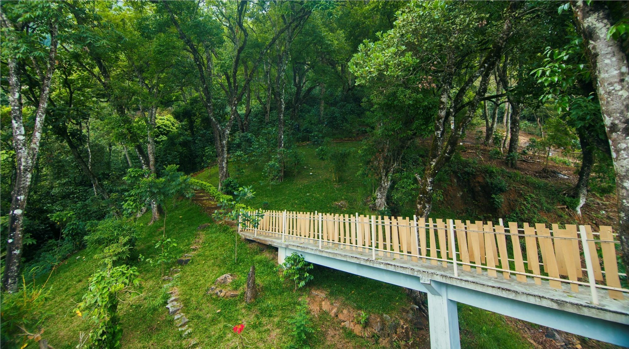 Forest Glade Resorts Chithirapuram Extérieur photo